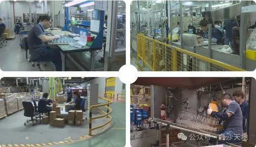 厲害了！儀征這家工廠，產品覆蓋30多個國家和地區